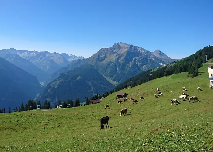 Scheulinghof Mayrhofen