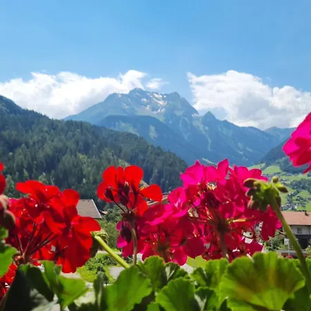 Scheulinghof 2* Mayrhofen