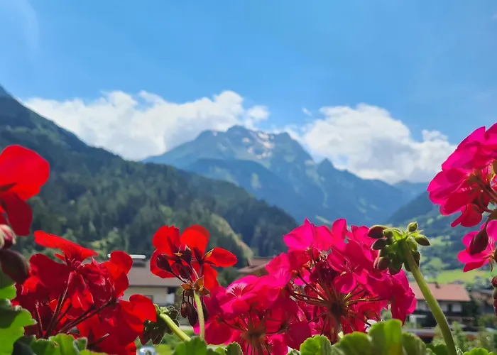 Gasthof Scheulinghof